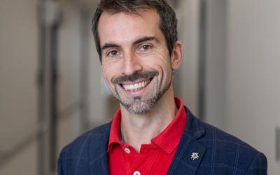 Professor Tomas Kalincik profile