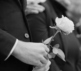 hands holding a rose